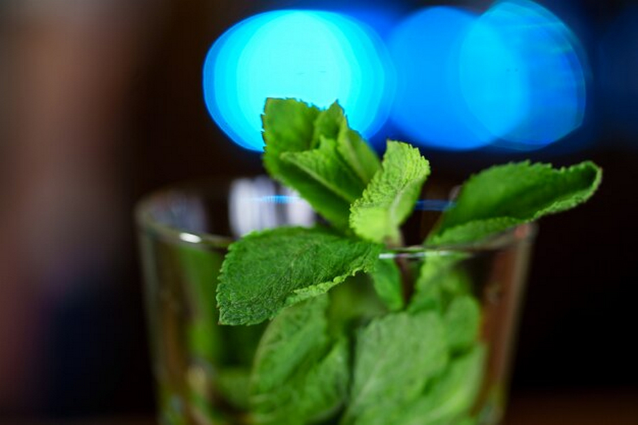 Mint Leaves on a Glass